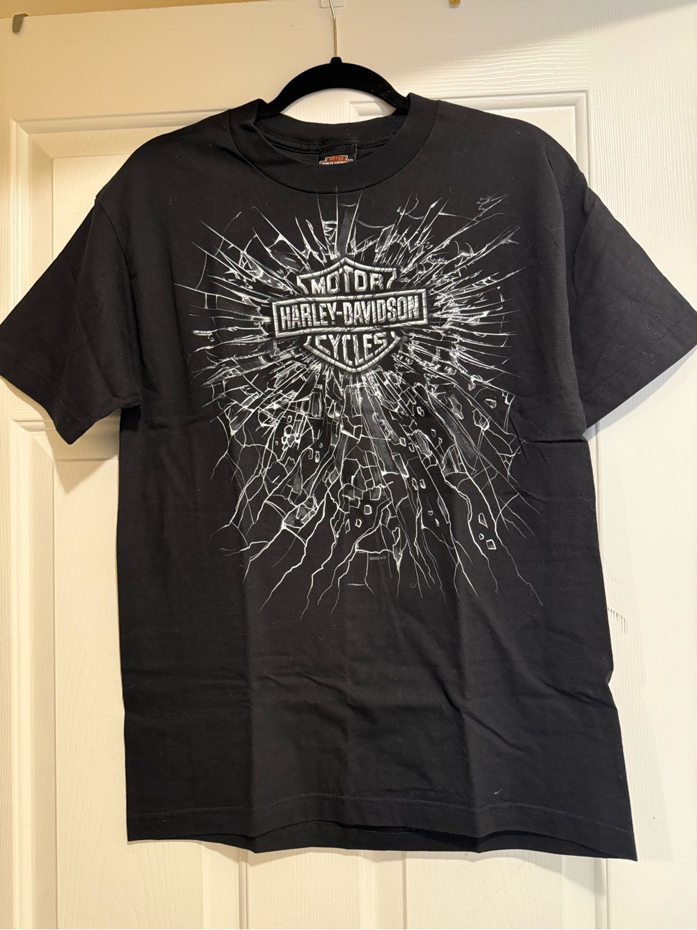Harley-Davidson Men’s Black Graphic Logo T-Shirt (Men’s Size: M)